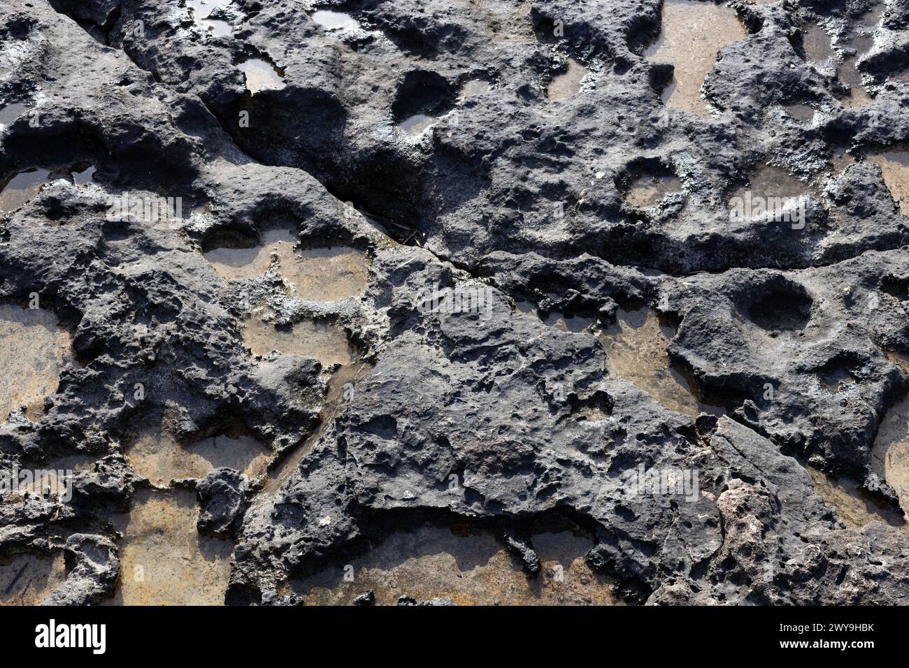 Porous rock seaside hi-res stock photography and images - Alamy