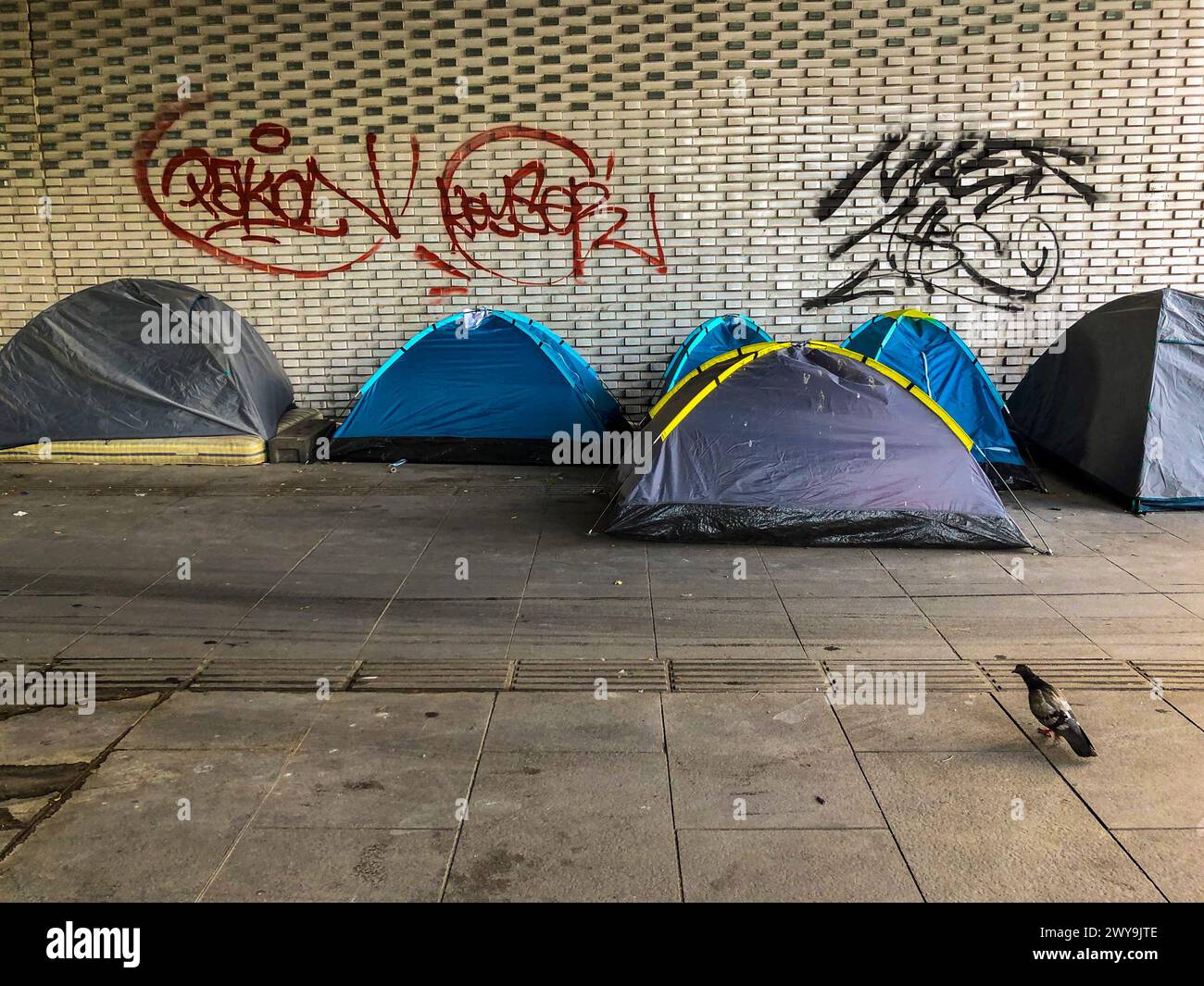 Paris, France, Group Migrants Tents Camp underneath Peripherique Highway, on Street, near Porte de la Villette, Stock Photo