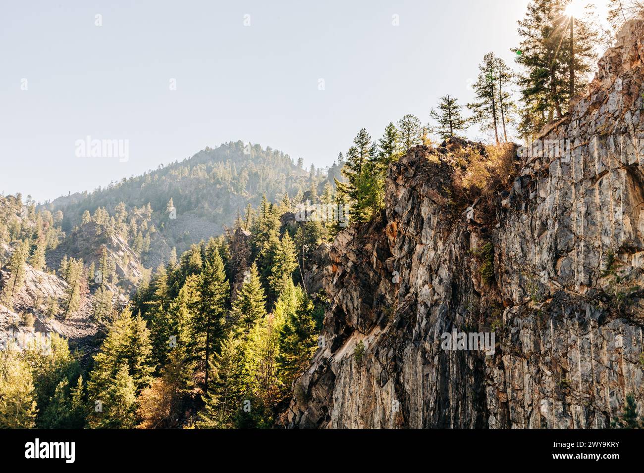 Cliffside with backlit forest trees and sunburst effect Stock Photo