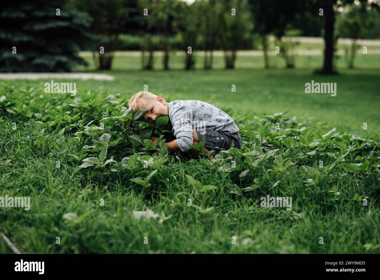 Young boy hiding in weeds in yard in the summer Stock Photo - Alamy