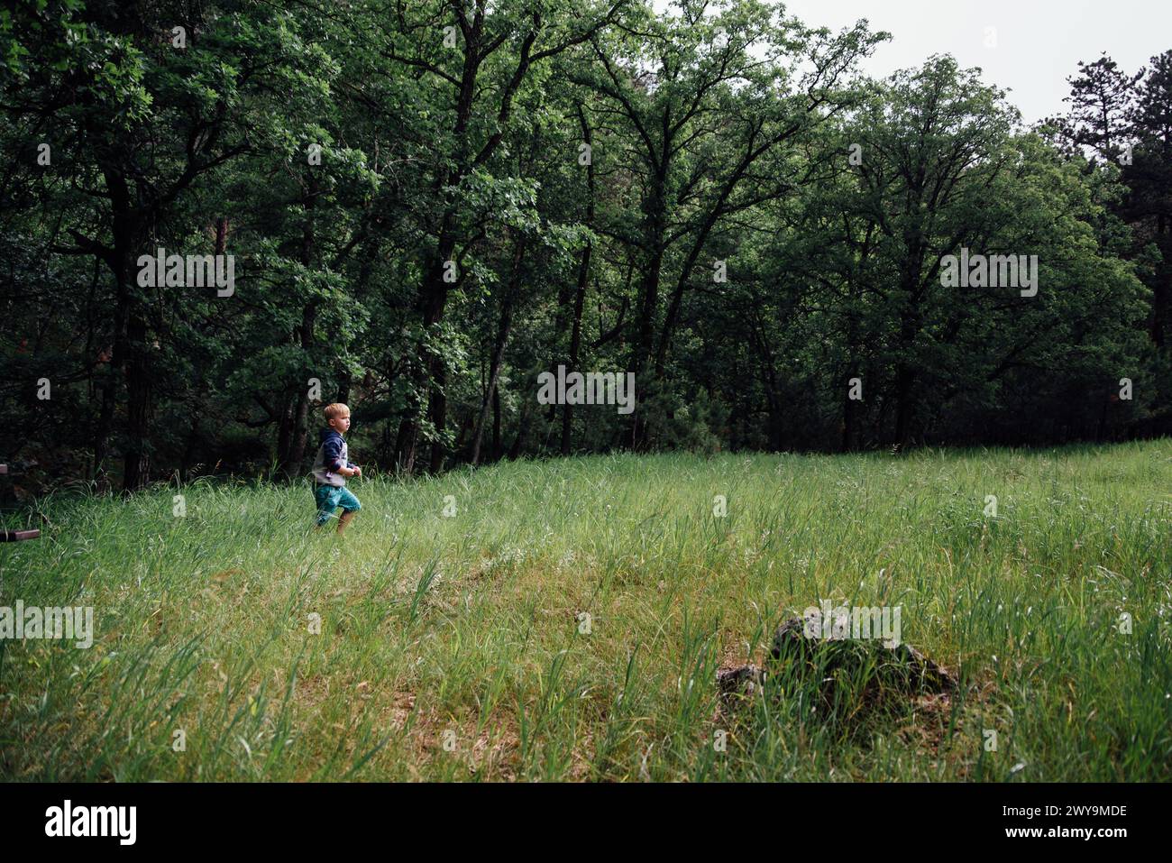 Small boy running in clearing in forest in summer Stock Photo