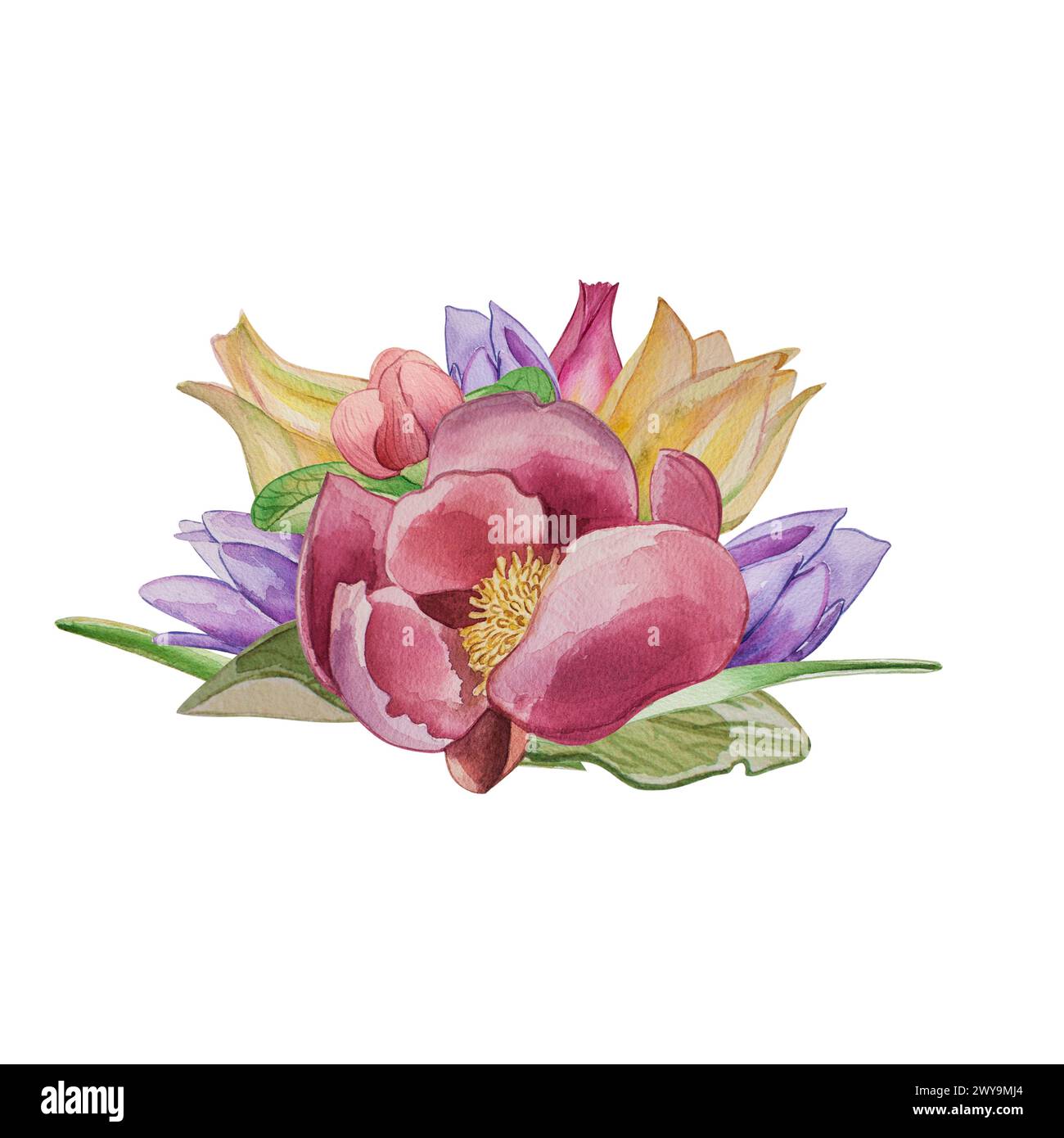 Pink peonies, yellow tulips, lilac primroses, spring flowers, petals and leaves are painted in watercolor on a white background.  For graphics design. Stock Photo