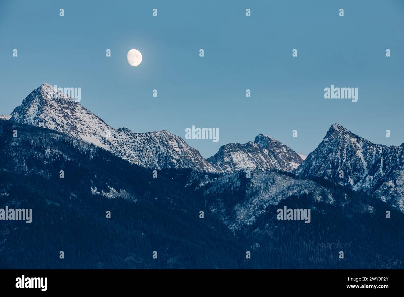 Mission Mountain peaks and moon during blue hour Stock Photo