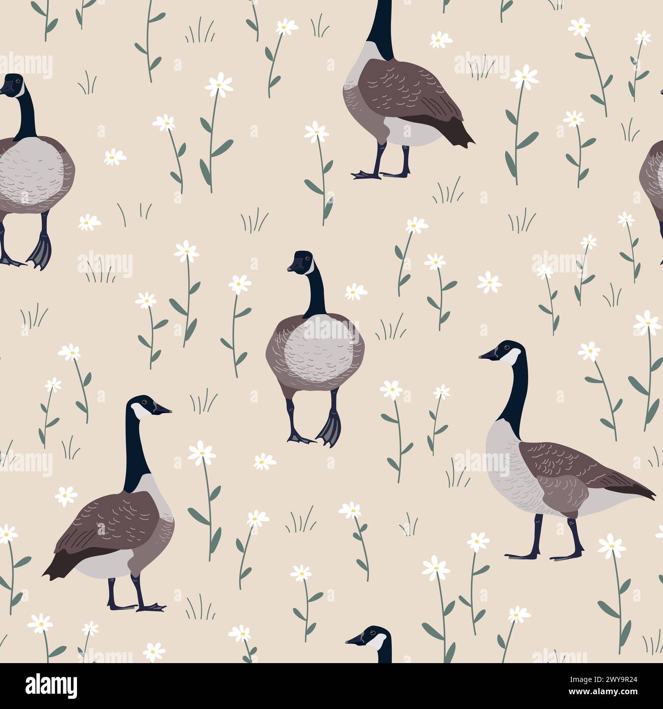 Seamless pattern with daisy flower and Canada geese birds. Small white flowers and green leaves on beige background. Cute floral print. Vector Stock Vector