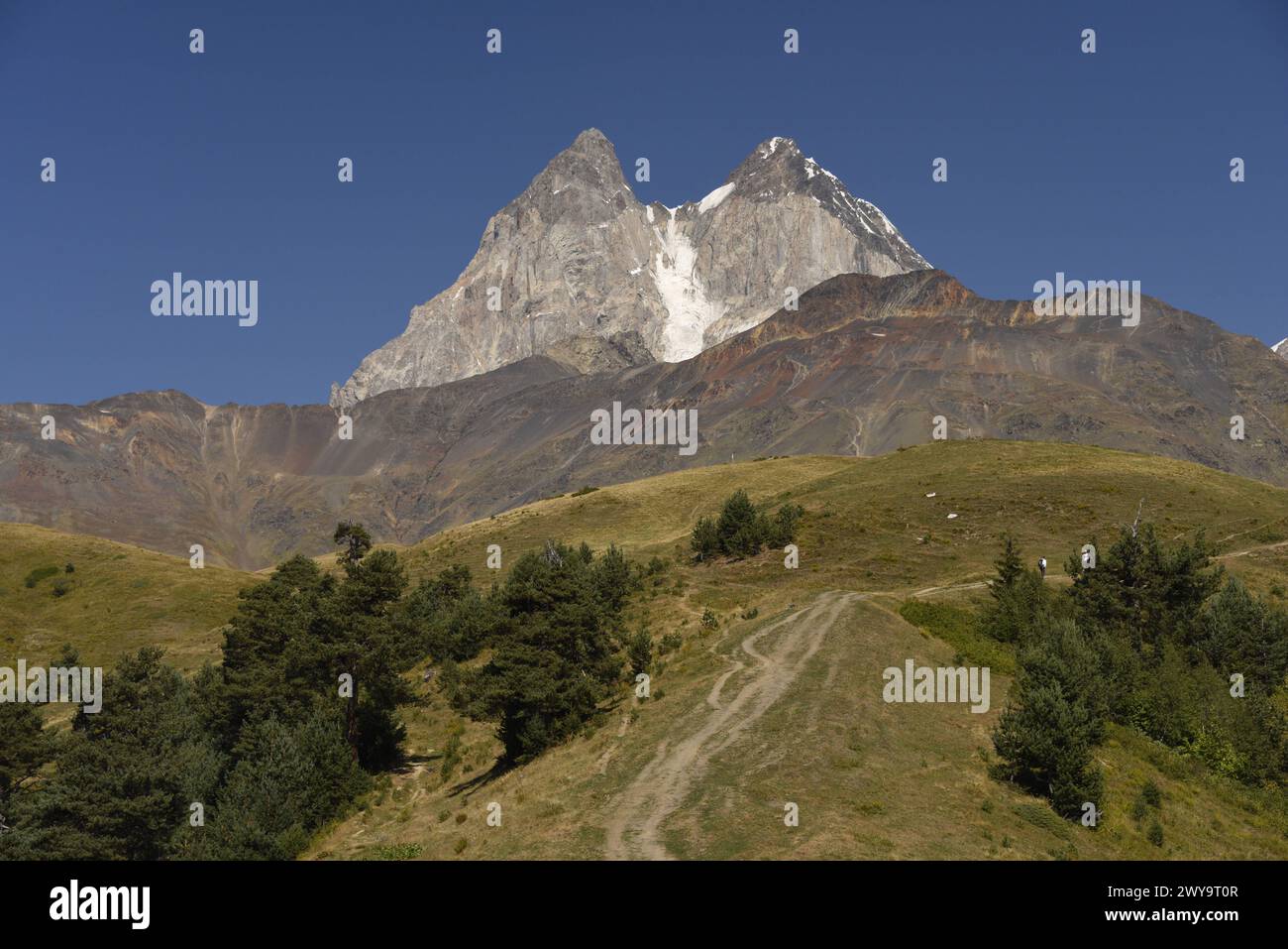 Mount Ushba, Svaneti, Caucasus, Georgia, Central Asia, Asia Copyright ...