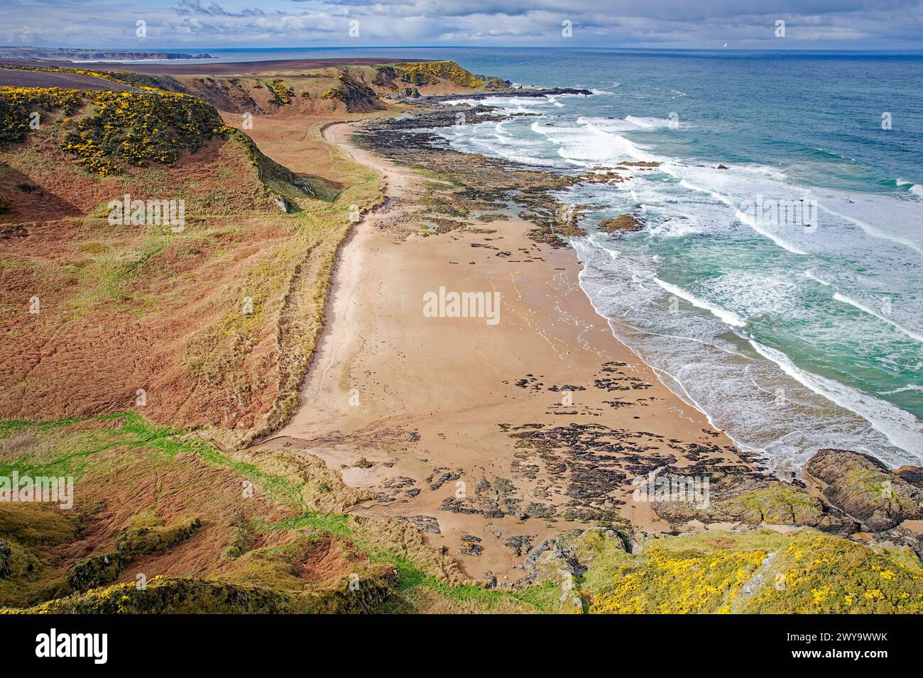 Sunnyside Beach Cullen Aberdeenshire Scotland view of coastline the rock and sand beach the sea and yellow gorse in Springtime Stock Photo