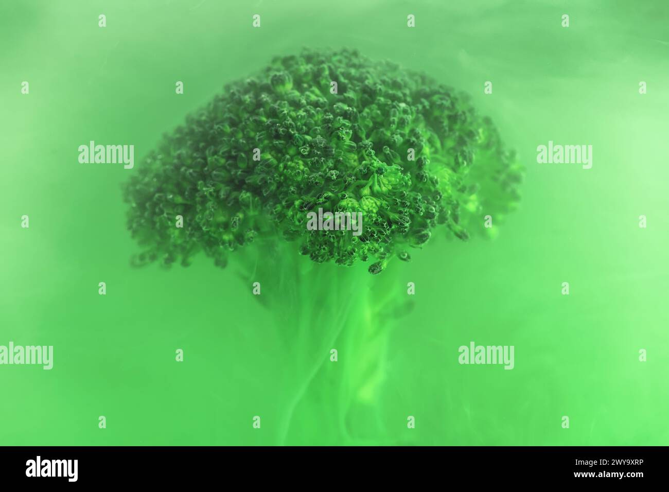 Fresh broccoli in cloud of green color paint in water. Artistic ...