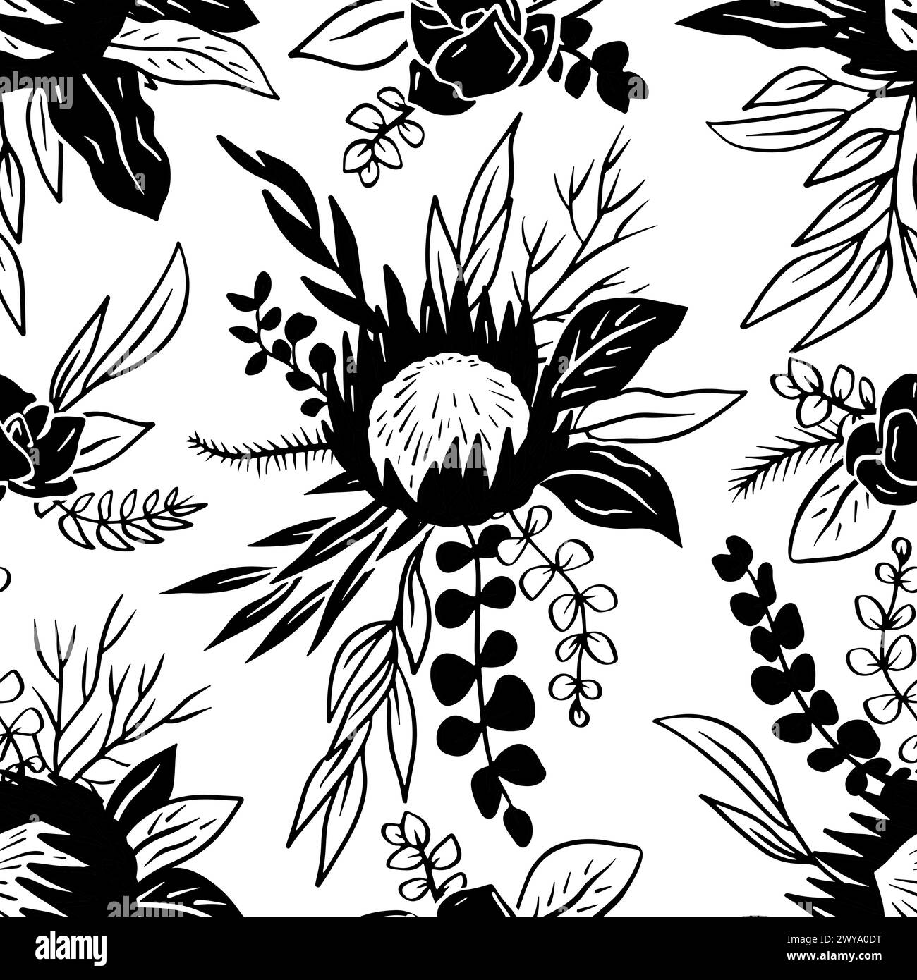 Black and white seamless pattern with line art protea flowers on white ...