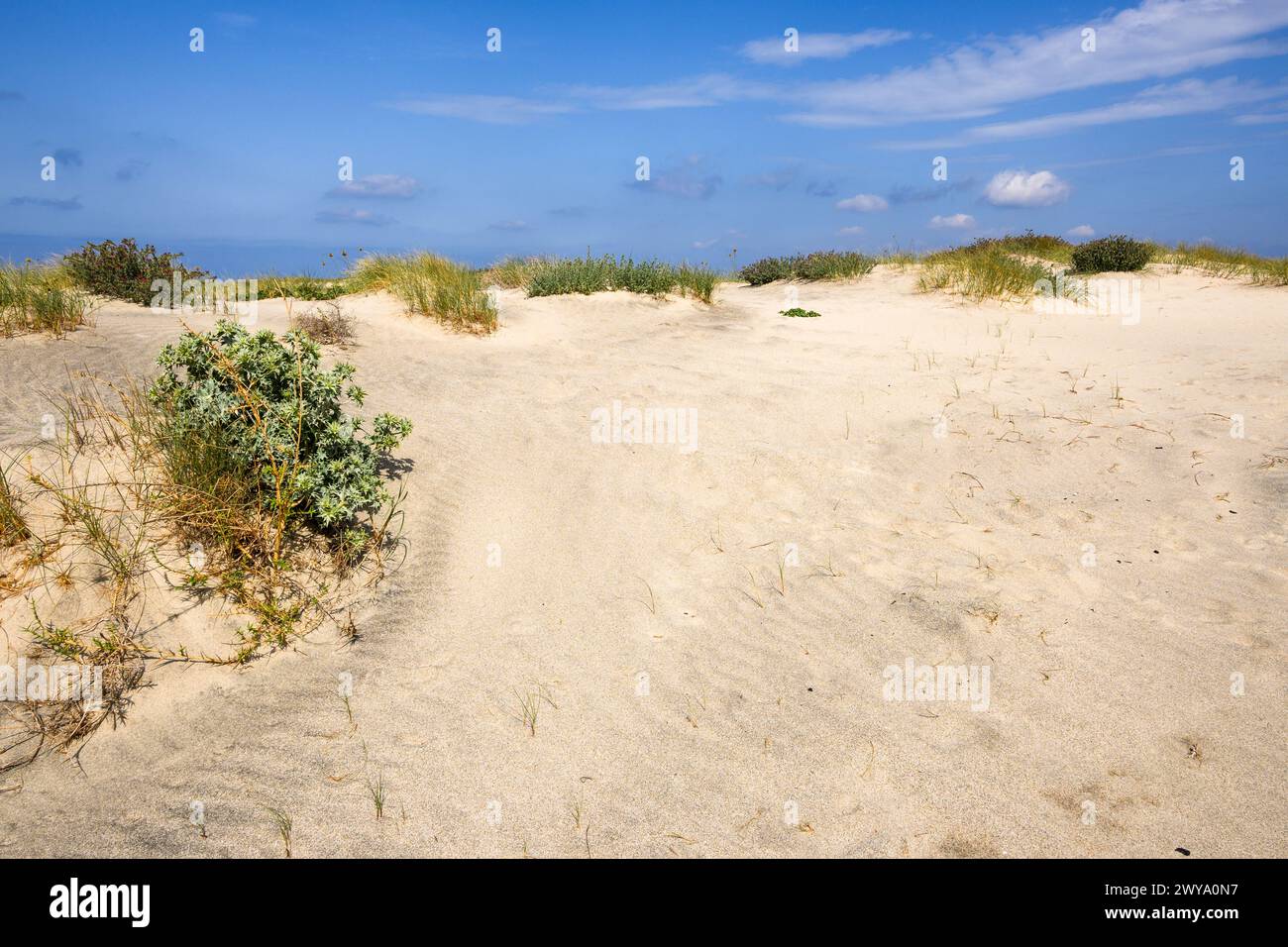 Sand dunes at Marmari beach on the island of Kos. Greece Stock Photo