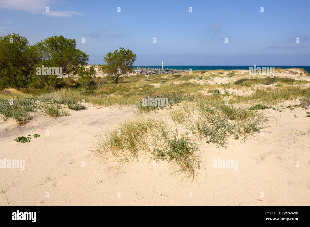 Sand dunes at Marmari beach on the island of Kos. Greece Stock Photo