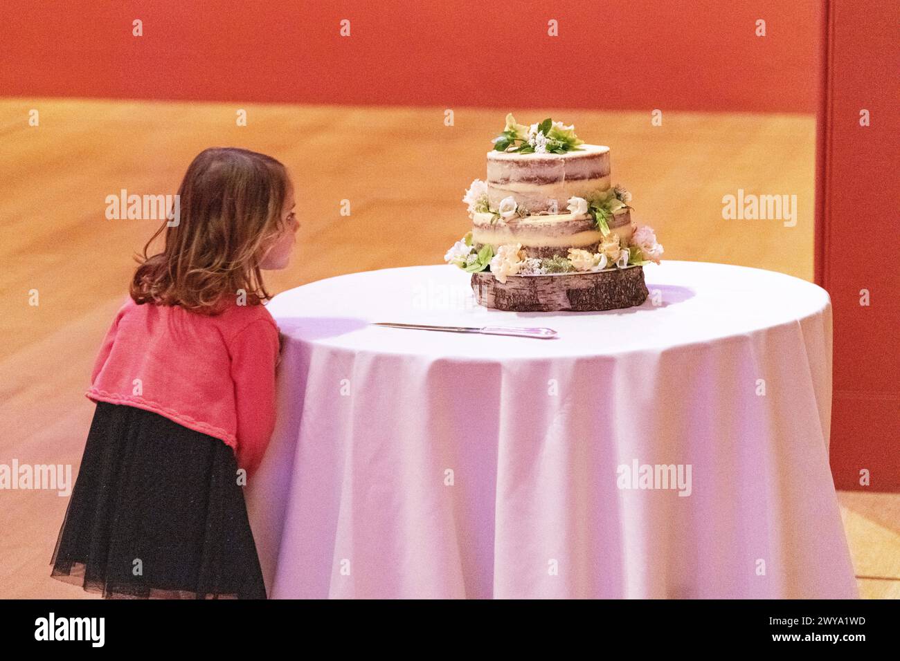 A young girl looking at a wedding cake at a wedding at Dulwich Picture Gallery in London, UK Stock Photo