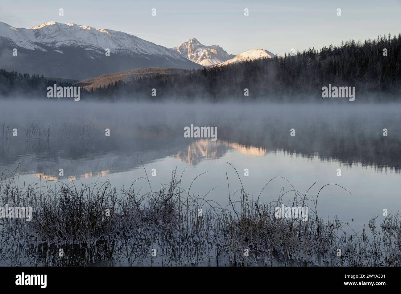 Mount Fitzwilliam at Pyramid Lake in Autumn with snow and morning mist, Jasper National Park, UNESCO World Heritage Site, Alberta, Canadian Rockies, C Stock Photo