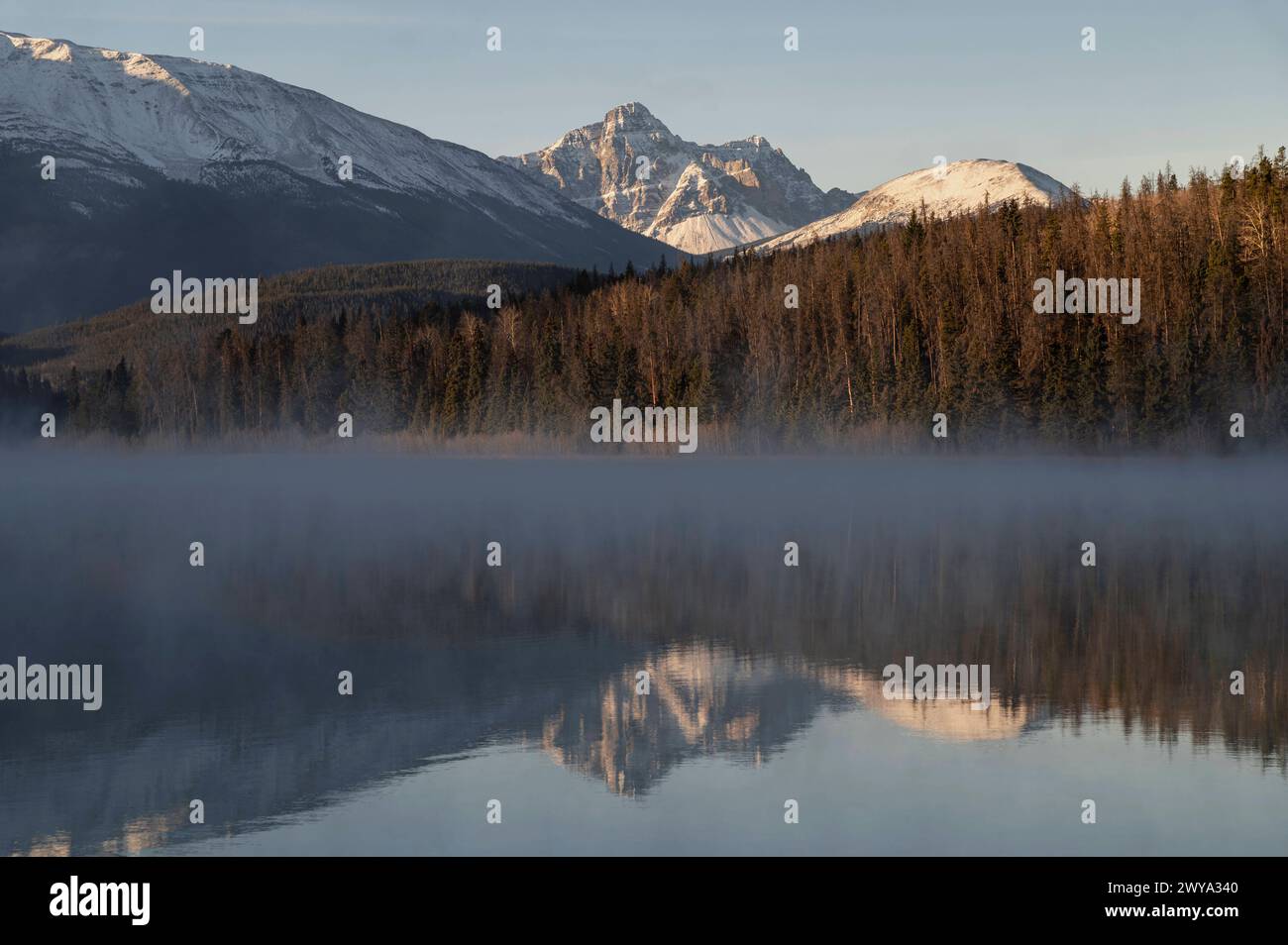 Mount Fitzwilliam at Pyramid Lake in Autumn with snow and morning mist, Jasper National Park, UNESCO World Heritage Site, Alberta, Canadian Rockies, C Stock Photo