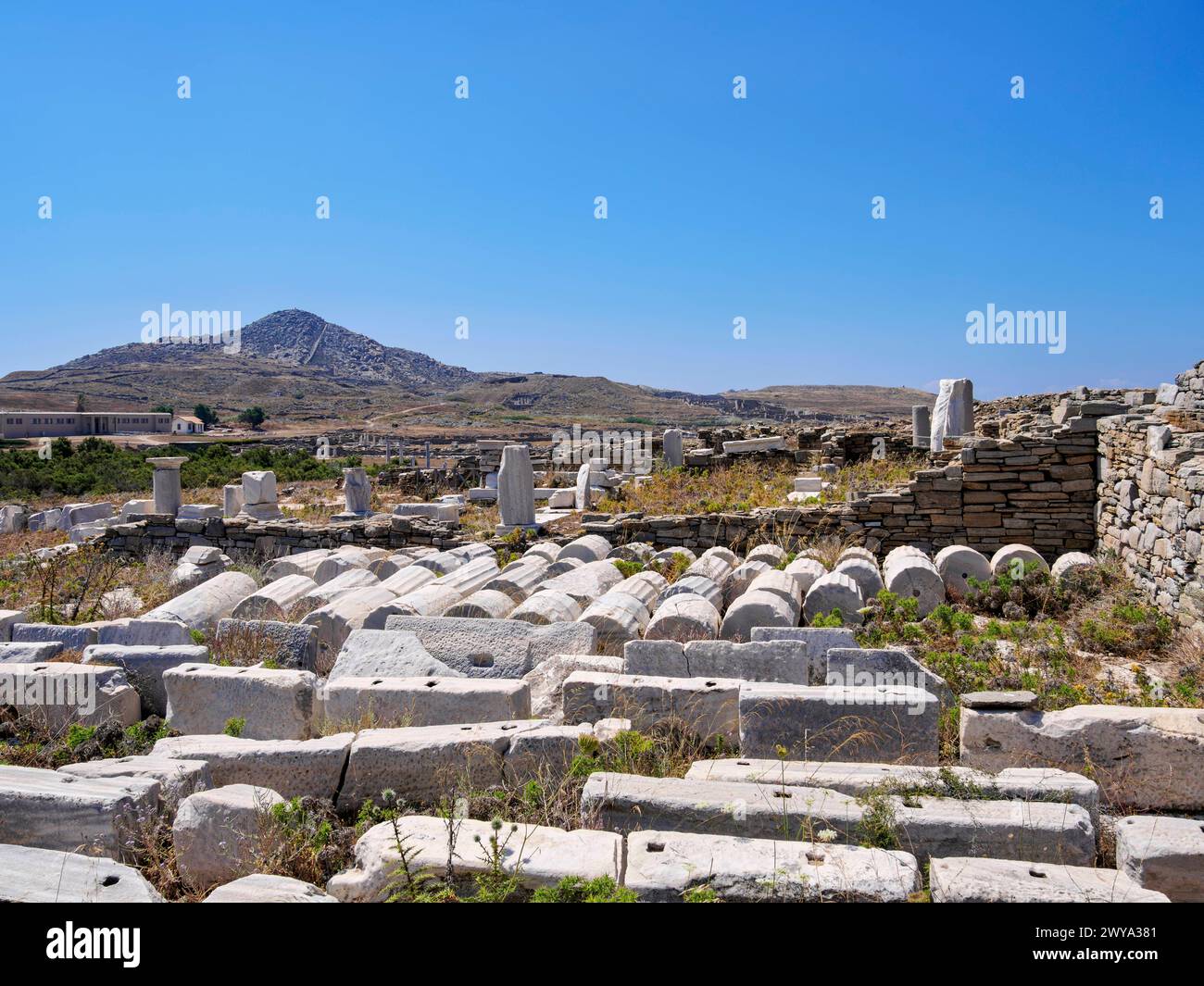 Delos Archaeological Site, UNESCO World Heritage Site, Delos Island, Cyclades, Greek Islands, Greece, Europe Copyright: KarolxKozlowski 1245-3460 Stock Photo
