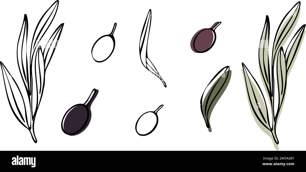 Vector olive tree branch with leaves and olives fruit. Hand painted ...