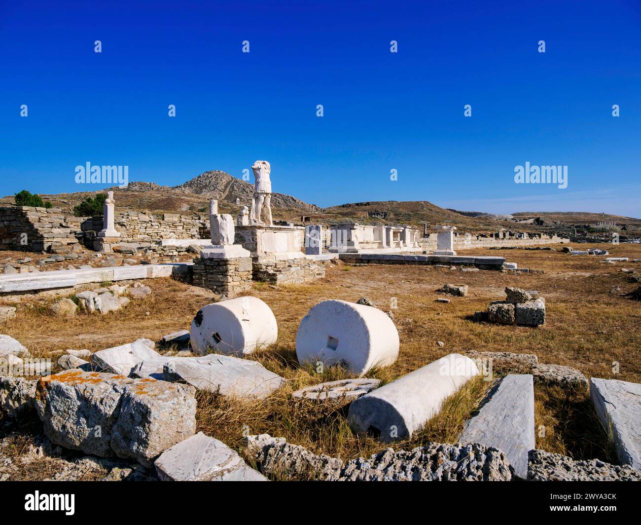 Delos Archaeological Site, UNESCO World Heritage Site, Delos Island, Cyclades, Greek Islands, Greece, Europe Copyright: KarolxKozlowski 1245-3476 Stock Photo