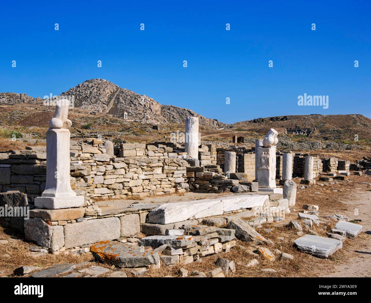 View towards the Mount Kynthos, Delos Archaeological Site, UNESCO World Heritage Site, Delos Island, Cyclades, Greek Islands, Greece, Europe Copyright Stock Photo