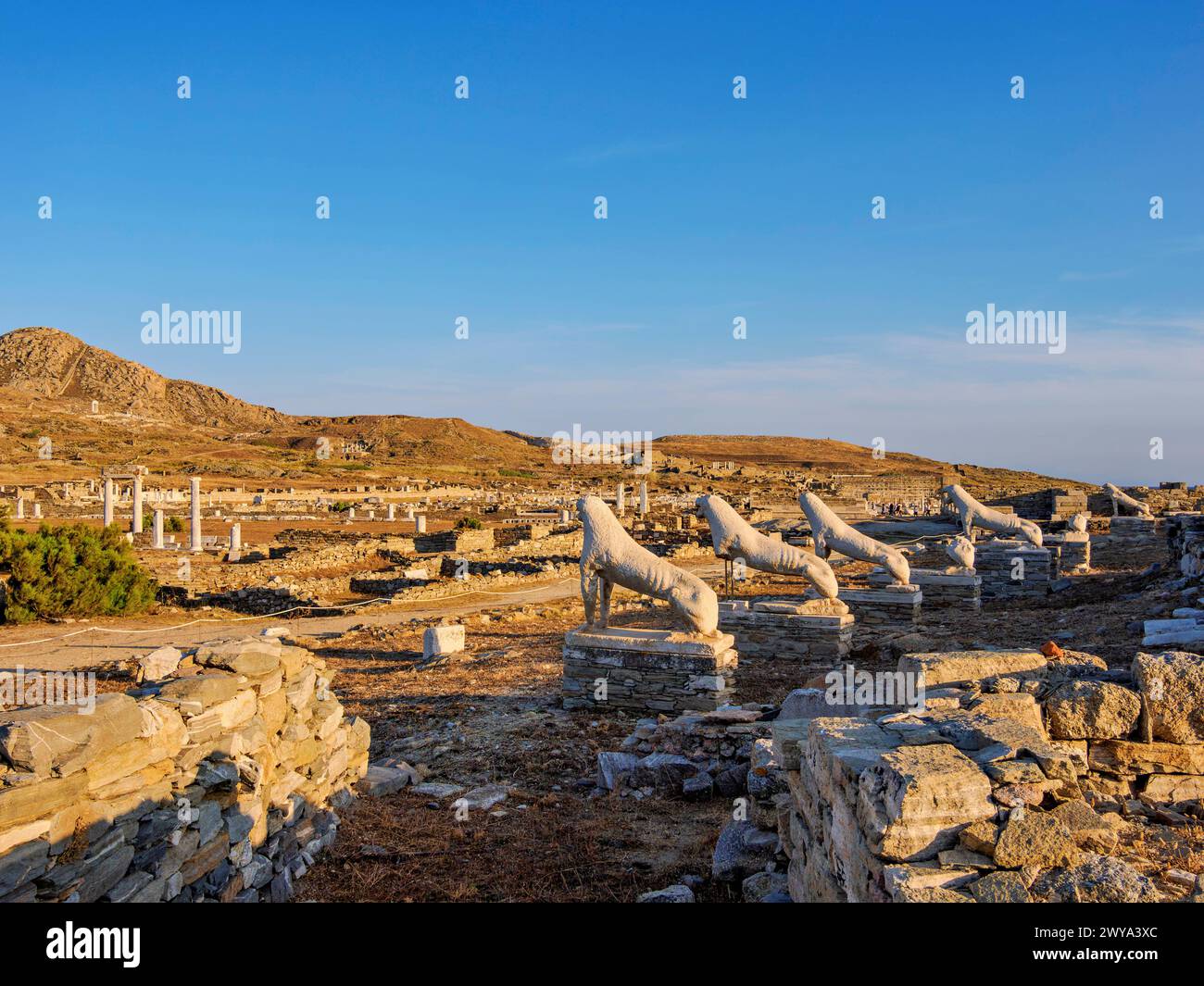 The Terrace of the Lions at sunset, Delos Archaeological Site, UNESCO World Heritage Site, Delos Island, Cyclades, Greek Islands, Greece, Europe Copyr Stock Photo