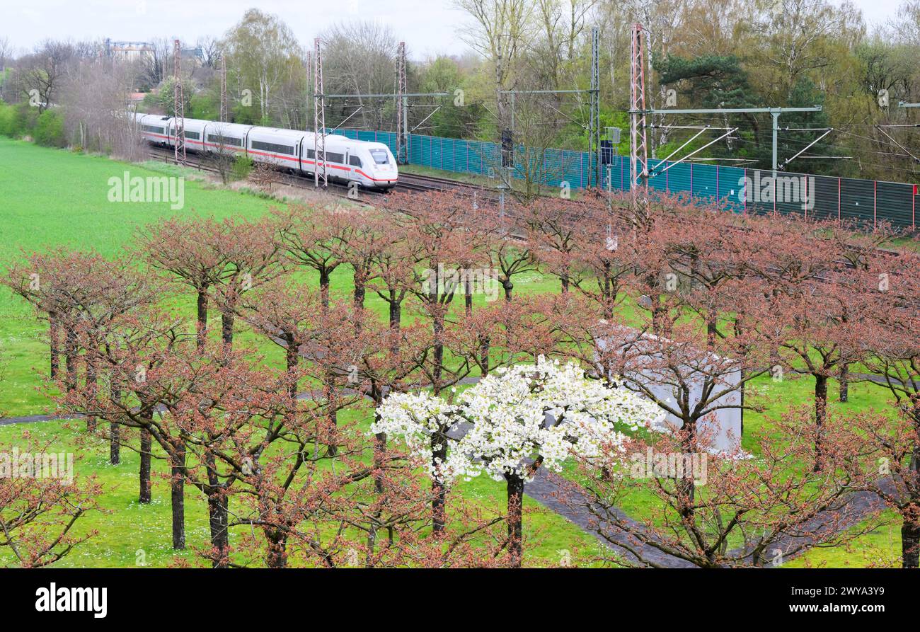 Eschede, Germany. 05th Apr, 2024. An ICE train passes the Eschede train crash memorial. Of the 101 cherry trees planted to commemorate the 101 victims of the ICE train crash in June 1998, exactly one tree is in full bloom these days. Credit: Julian Stratenschulte/dpa/Alamy Live News Stock Photo