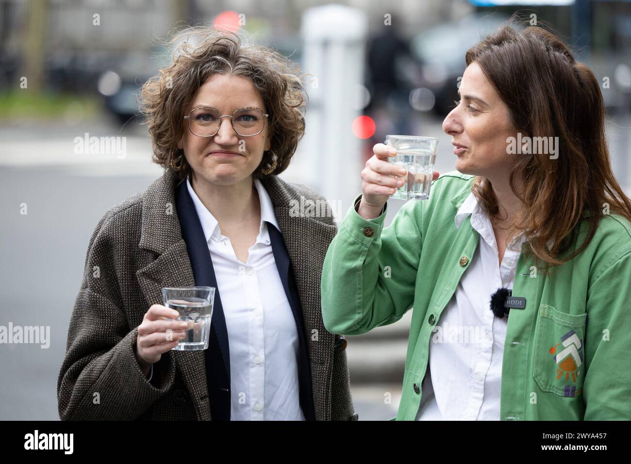 French The Ecologists, formerly known as EuropeEcologieLes Verts
