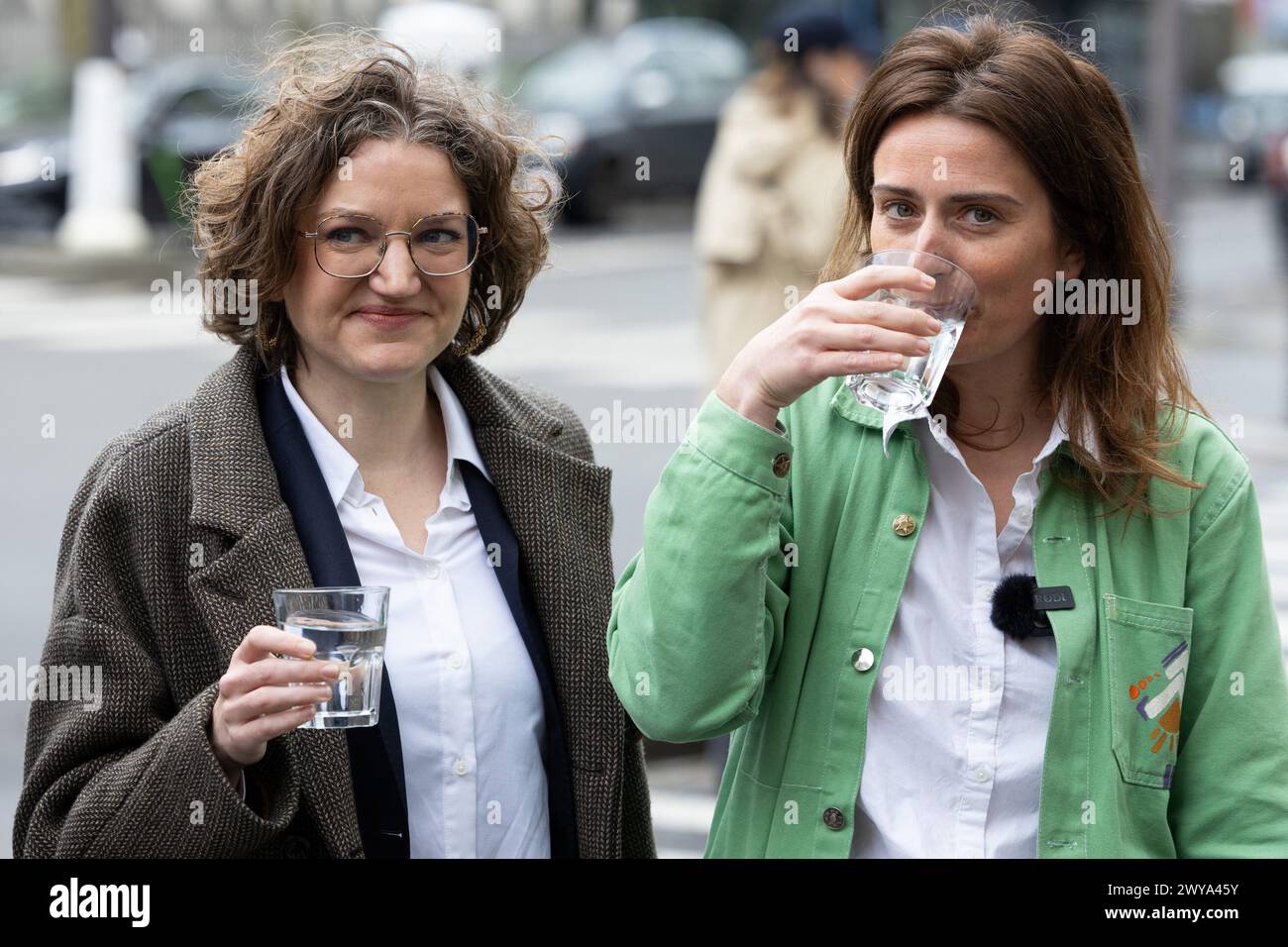 French The Ecologists, formerly known as EuropeEcologieLes Verts