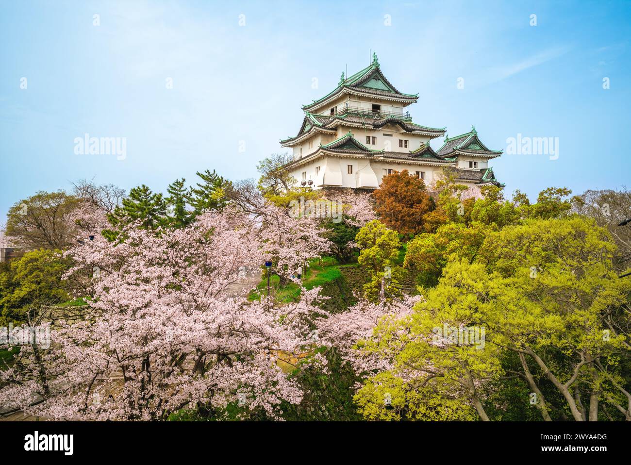 Wakayama Castle, a Japanese castle located in Wakayama city, Wakayama Prefecture, Japan. Stock Photo