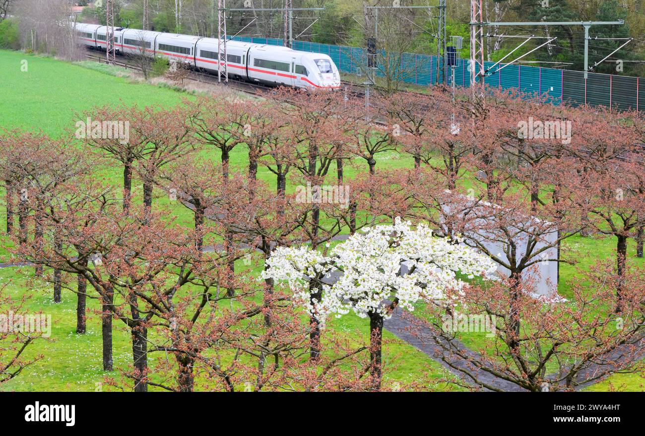 Eschede, Germany. 05th Apr, 2024. An ICE train passes the Eschede train crash memorial. Of the 101 cherry trees planted to commemorate the 101 victims of the ICE train crash in June 1998, exactly one tree is in full bloom these days. Credit: Julian Stratenschulte/dpa/Alamy Live News Stock Photo