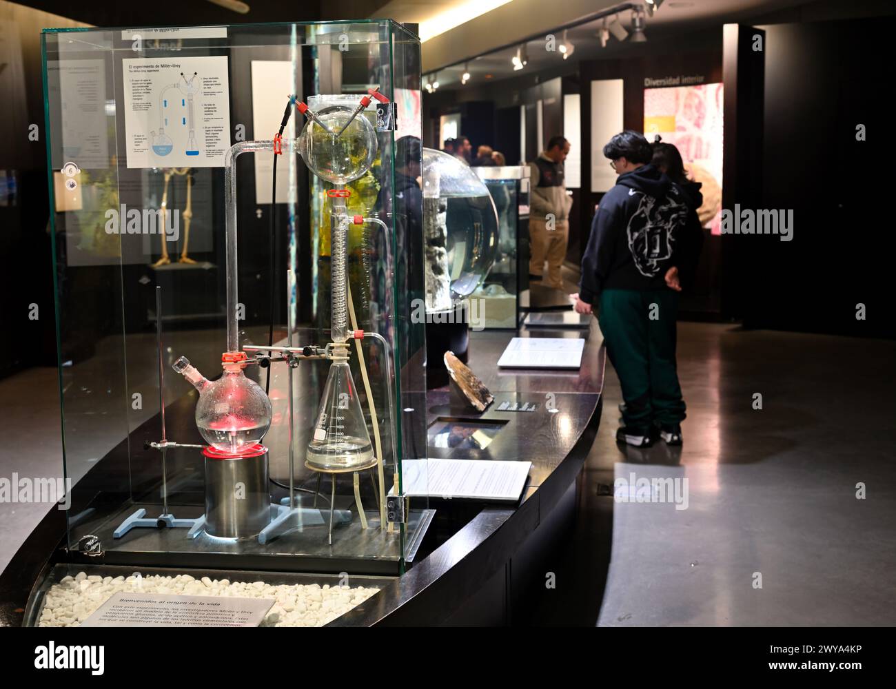 Exhibit in the chemistry section of the Granada Science Museum and origin of life, Granada, Spain Stock Photo