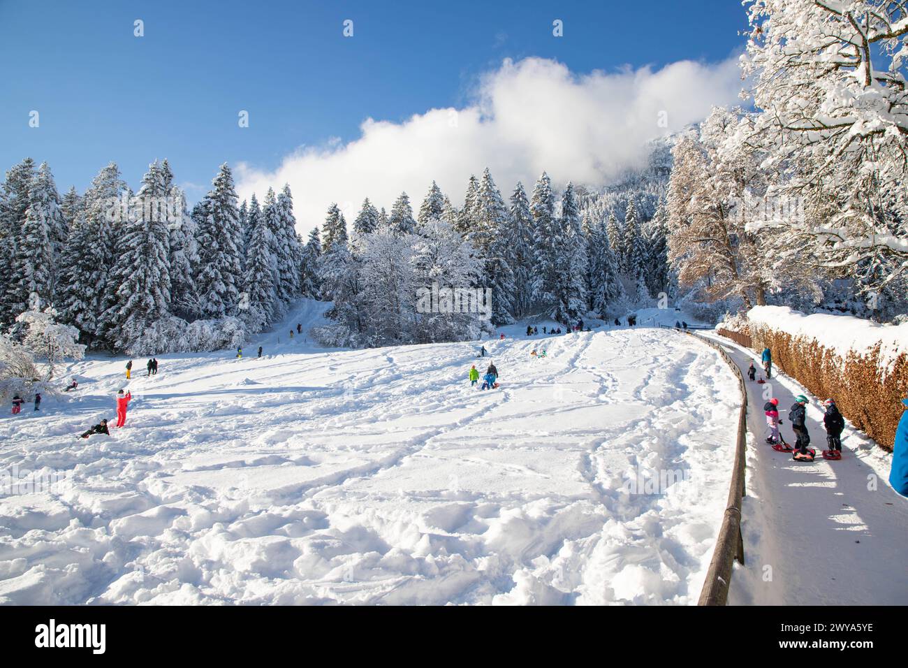Wintertime with big snow in the Bavarian Alps, Garmish-Partenkirchen, Germany, Europe Copyright: NagyxMelinda 1265-306 Stock Photo