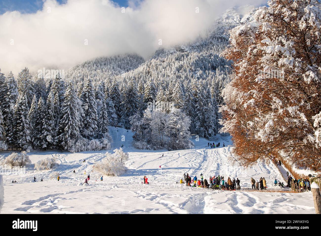 Wintertime with big snow in the Bavarian Alps, Garmish-Partenkirchen, Germany, Europe Copyright: NagyxMelinda 1265-305 Stock Photo