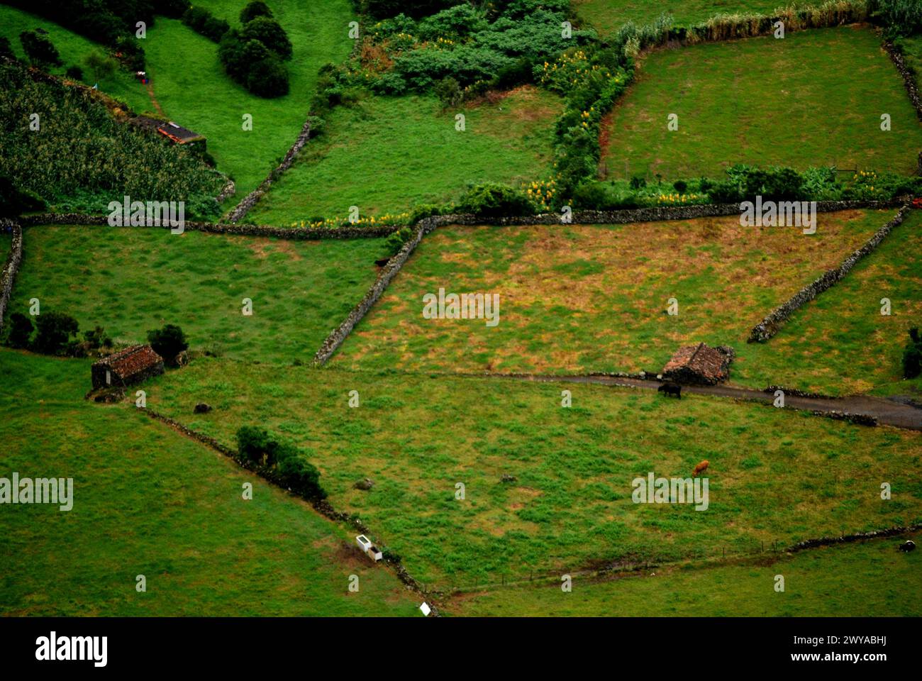 top view countryside in the Azores Stock Photo