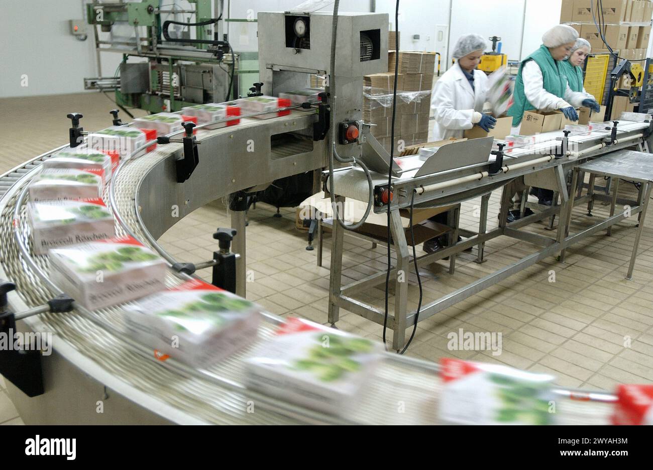 Frozen food industry, broccoli packing line. Navarre. Spain Stock Photo ...