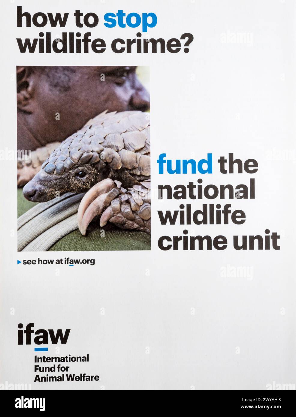 A 2019 advert for the International Fund for Animal Welfare, IFAW. Stock Photo