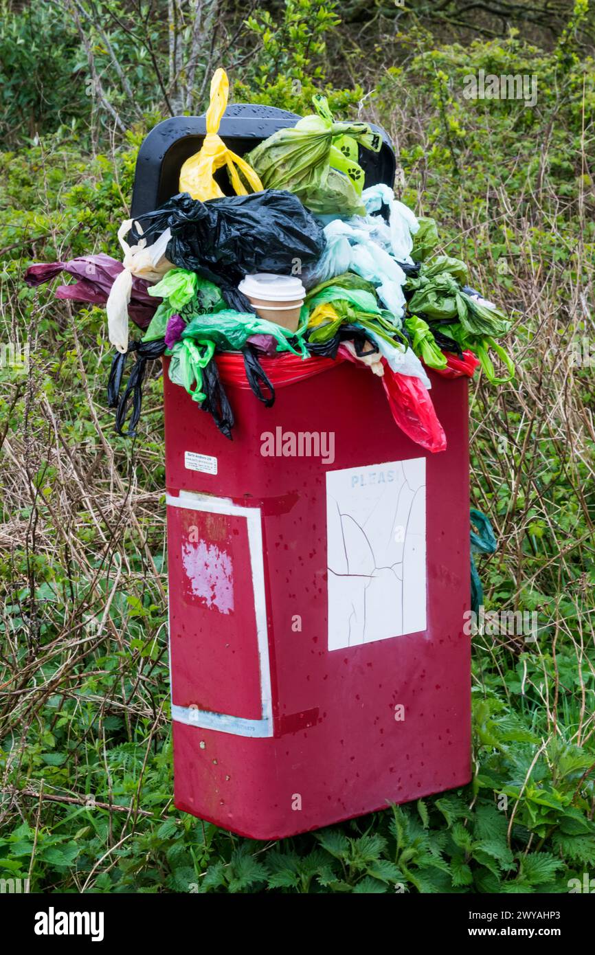 A full and overflowing dog waste bin in Norfolk woodland park. Stock Photo