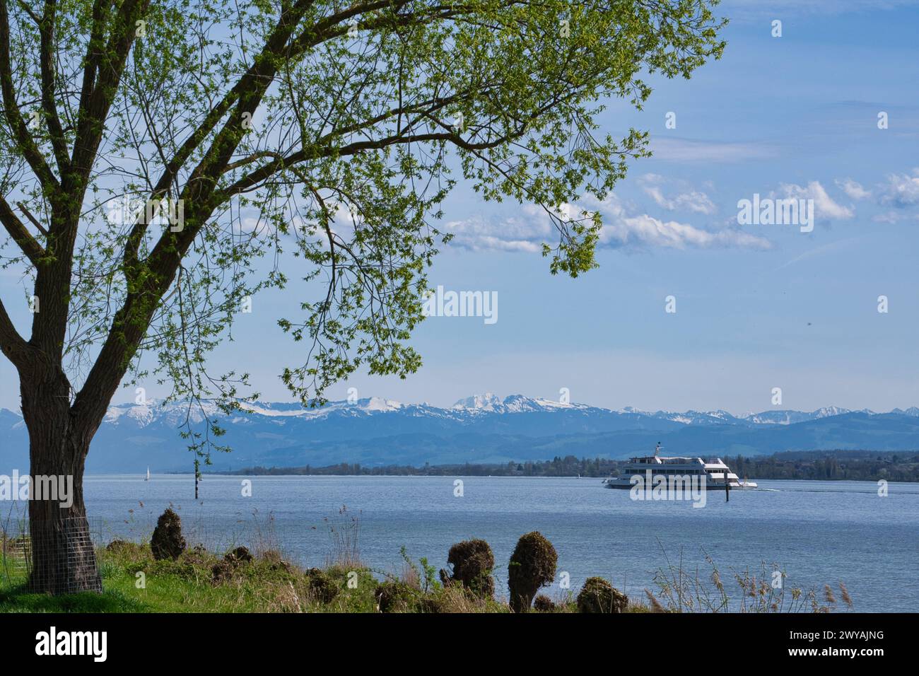 Frühling am Bodenseeufer bei Konstanz *** Spring on the shores of Lake ...
