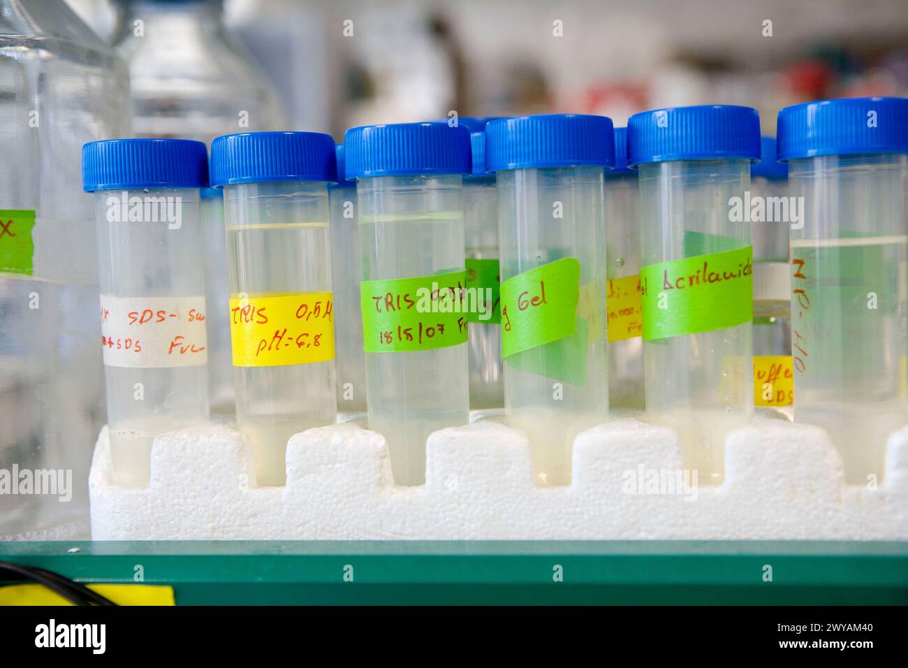 Sample details label hi-res stock photography and images - Alamy