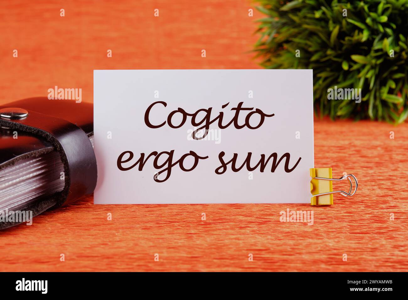 The words Cogito Ergo Sum or I think Therefore I Am the inscription on the white card. Business concept Stock Photo