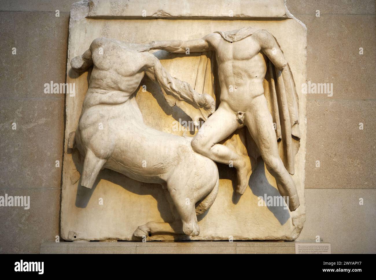 Marble metope from the Parthenon, The Parthenon sculptures, The British Museum, London. England. UK. Stock Photo