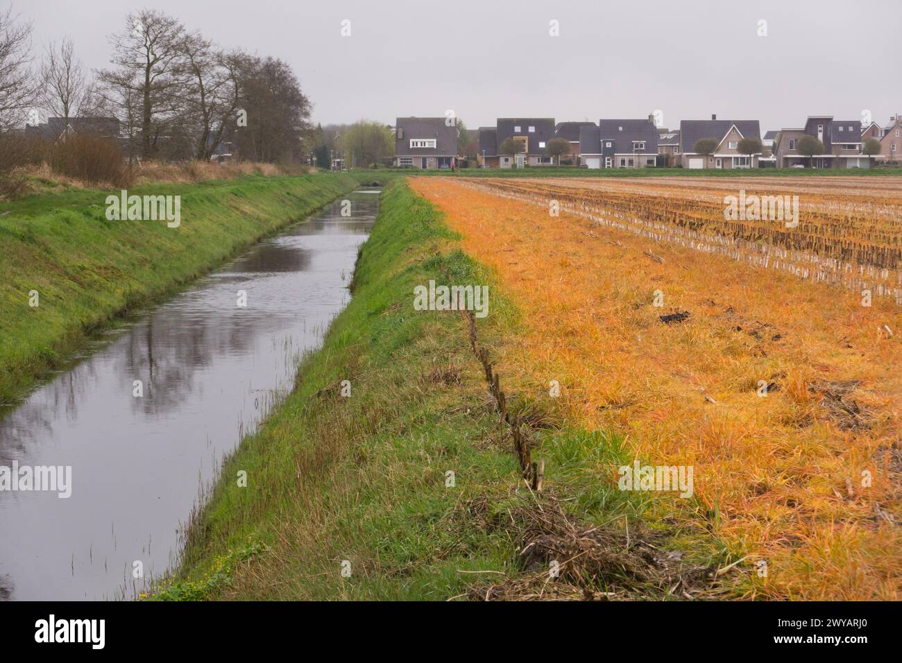Risk for surface water and health: glyphosate applied to a corn field next to a ditch and in the vicinity of residential buildings Stock Photo