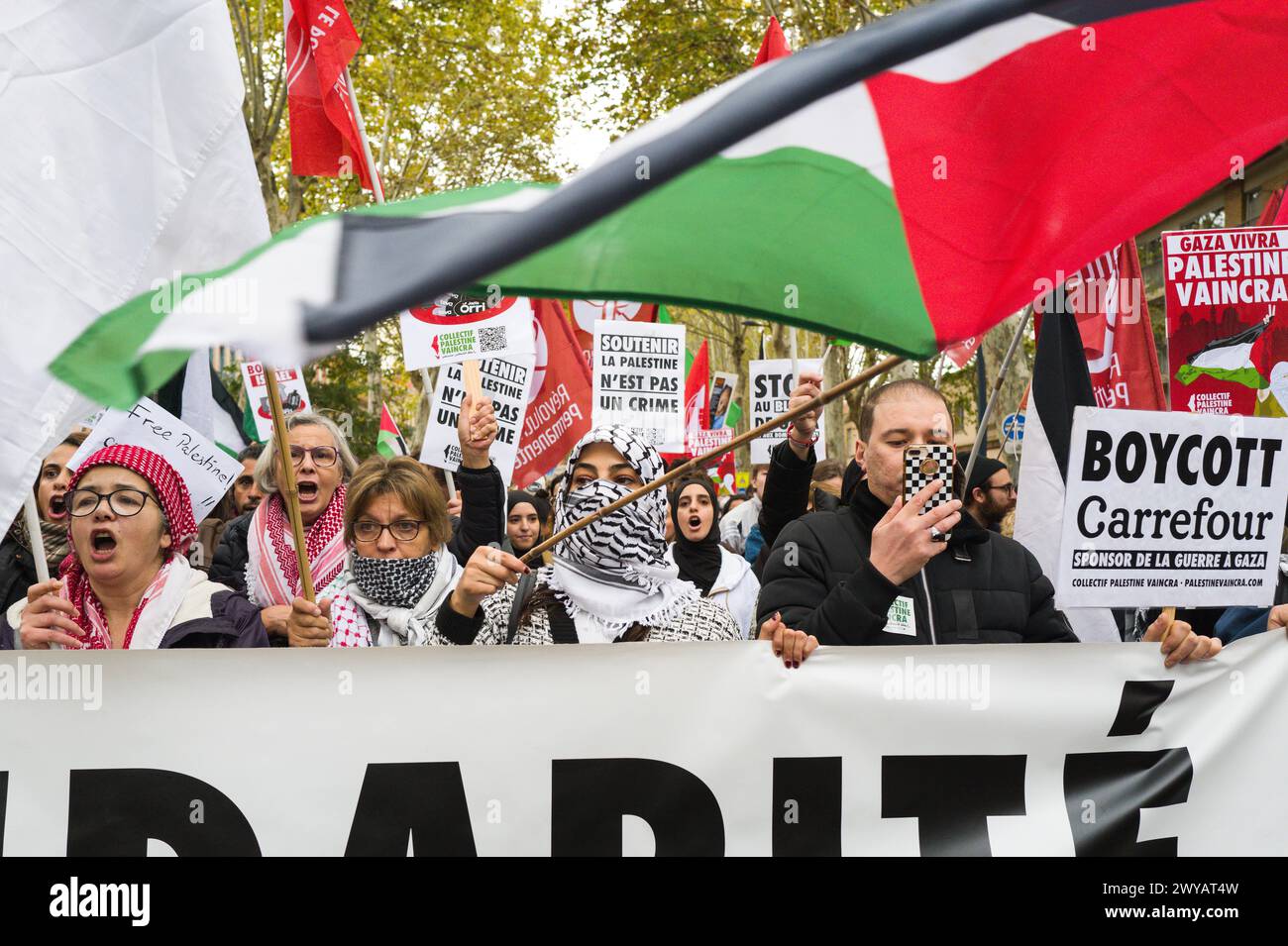 Activists with flags behind the banner, Solidarite avec le peuple palestinien (Solidarity with the Palestinian people). Demonstration for peace in Gaz Stock Photo
