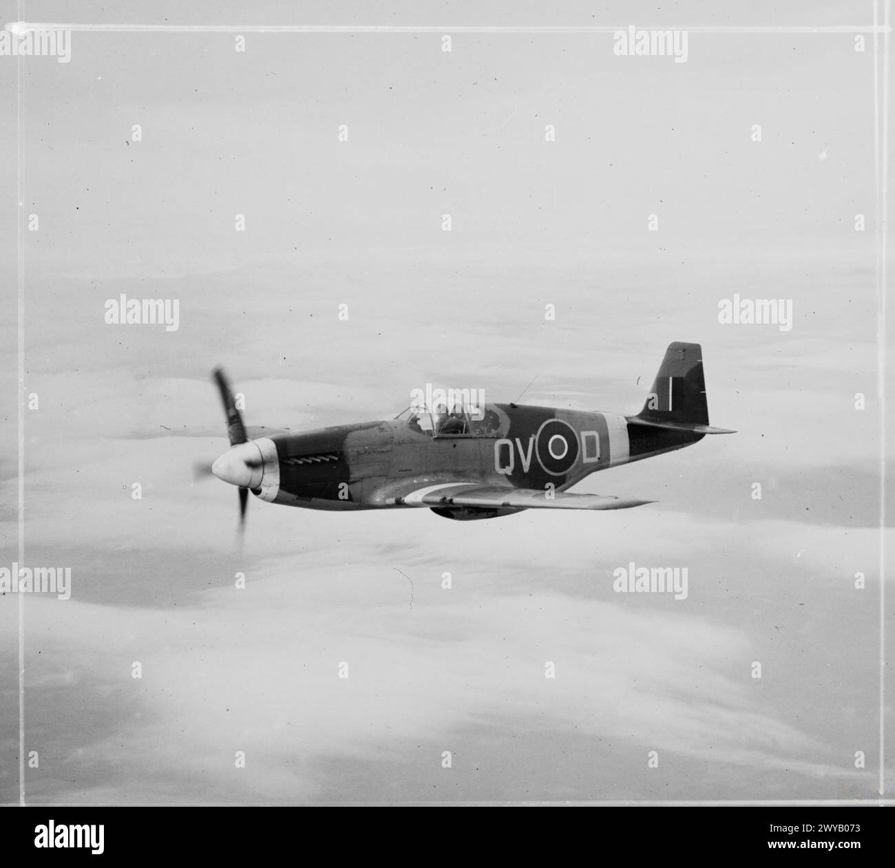 ROYAL AIR FORCE 1939-1945: FIGHTER COMMAND - Mustang III of No 19 Squadron, based at Ford, in flight, 21 April 1944. It wears the standard Mustang recognition markings of white spinner, nose and wing bands. Production of the Allison-engined Mustang I and II was halted in mid-1943 to make way for the Merlin-powered Mk III. The new Mustang was designed for the air-superiority role, and finally gave both the USAAF and RAF a single-seat fighter that combined excellent high-altitude performance with an outstanding range (combat radius was 750 miles with drop-tanks). , Royal Air Force, 19 Squadron Stock Photo