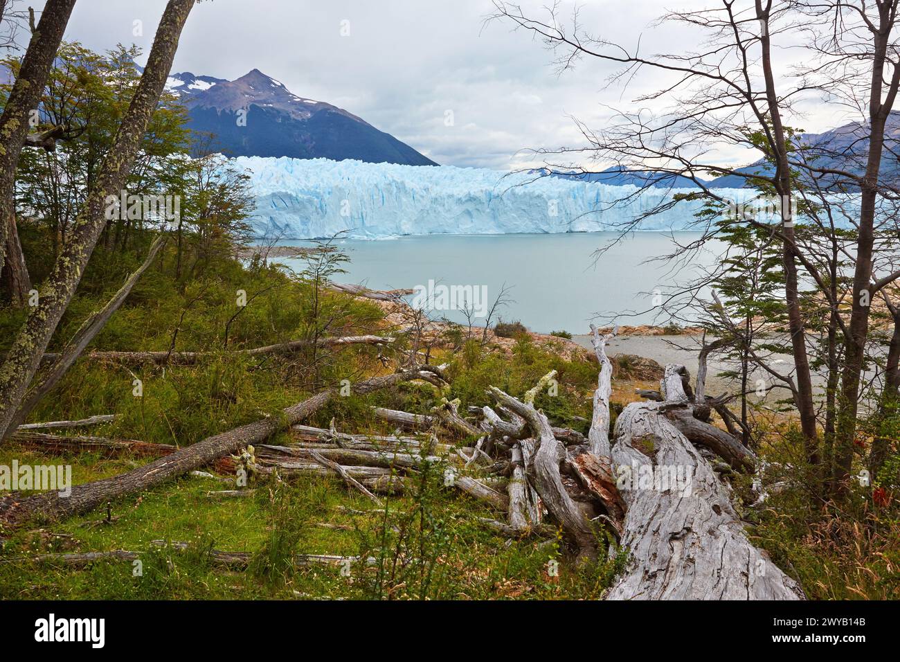 Perito Moreno glacier. Los Glaciares National Park. Argentino Lake ...