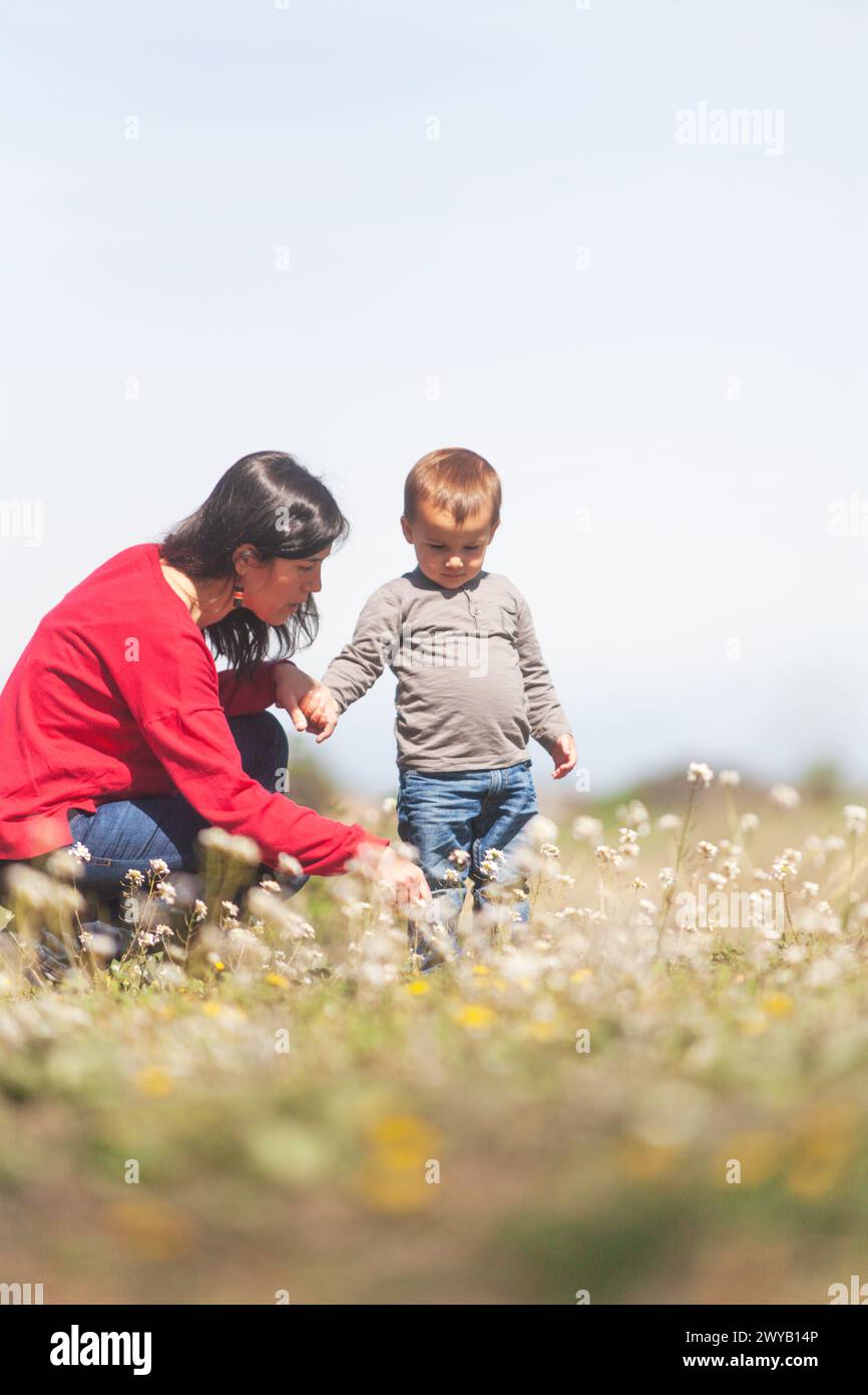Mother and her young son in a meadow full of flowers. Mother shows her ...