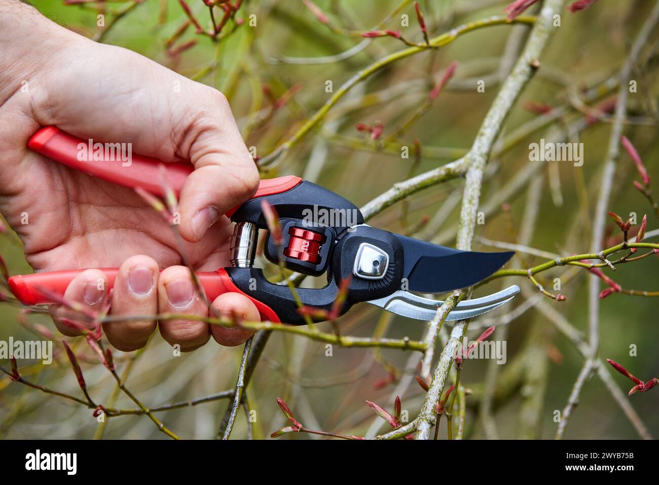 Gardener with hand tool, Pruner, Aiete Park, Donostia, San Sebastian