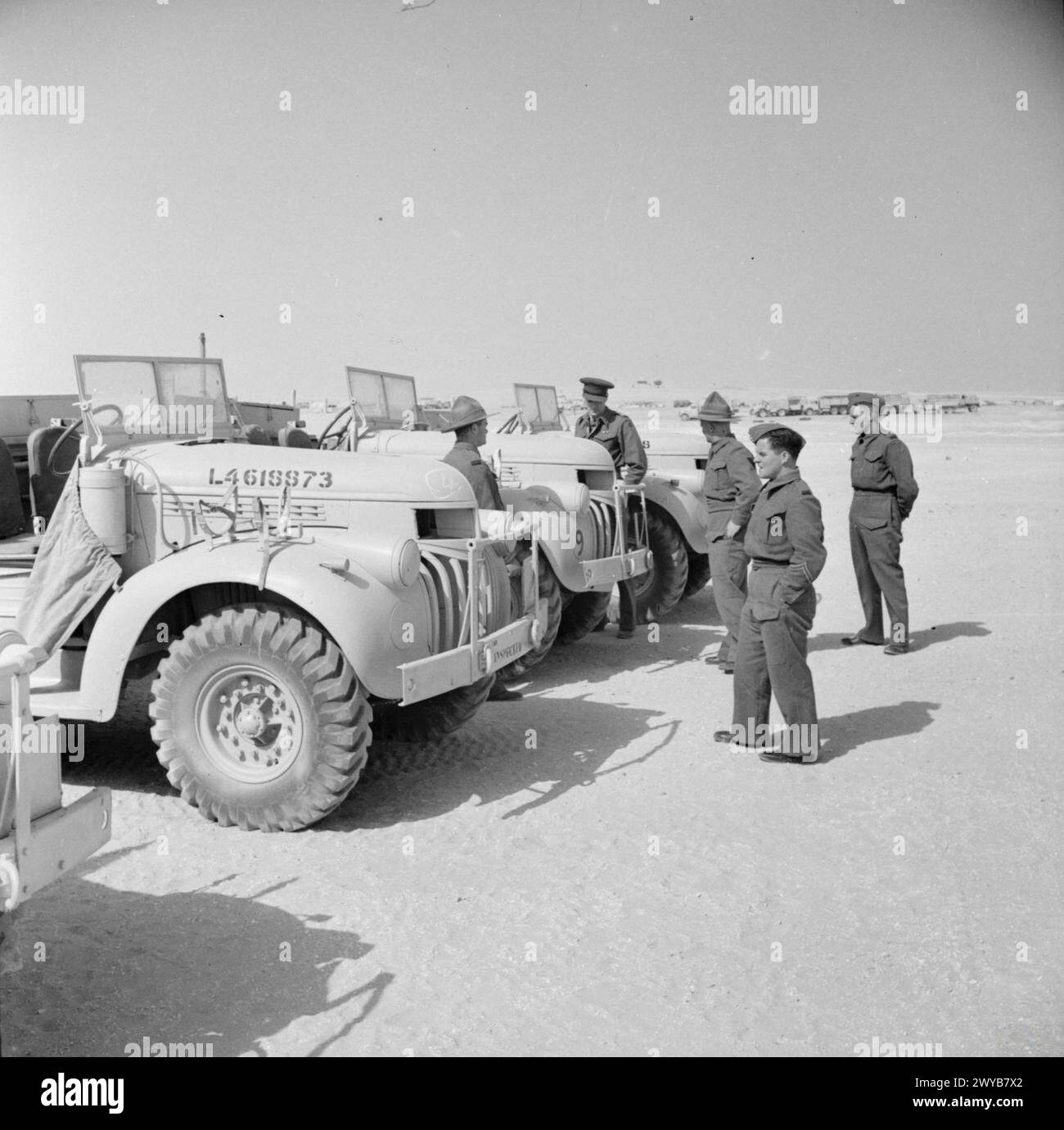 THE CAMPAIGN IN NORTH AFRICA 1940-1943 - Members of the Long Range Desert Group (LRDG) inspect newly-issued Chevrolet 30cwt trucks in Cairo, May 1942. , British Army, Long Range Desert Group Stock Photo