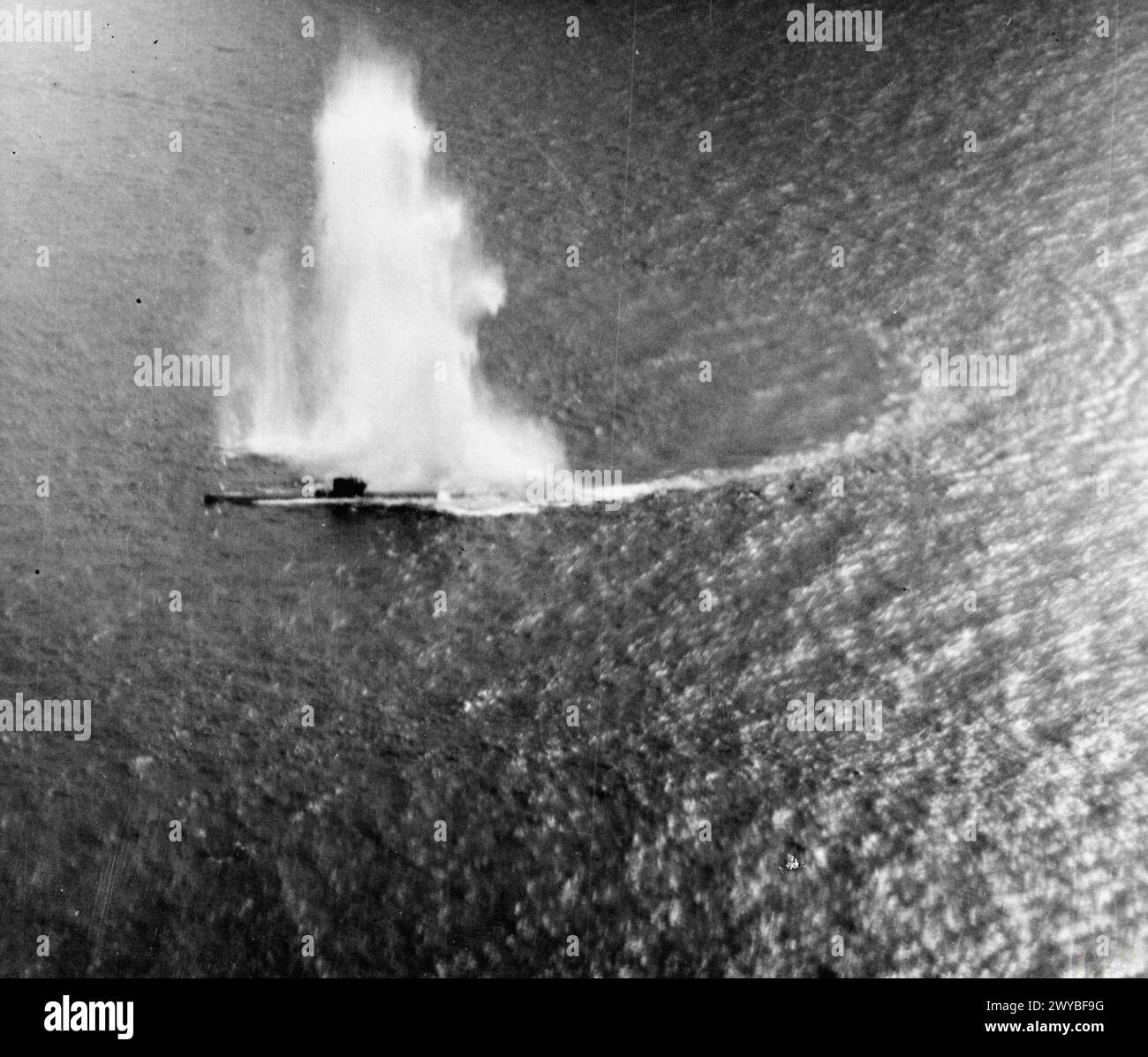 150 lb hi-res stock photography and images - Alamy