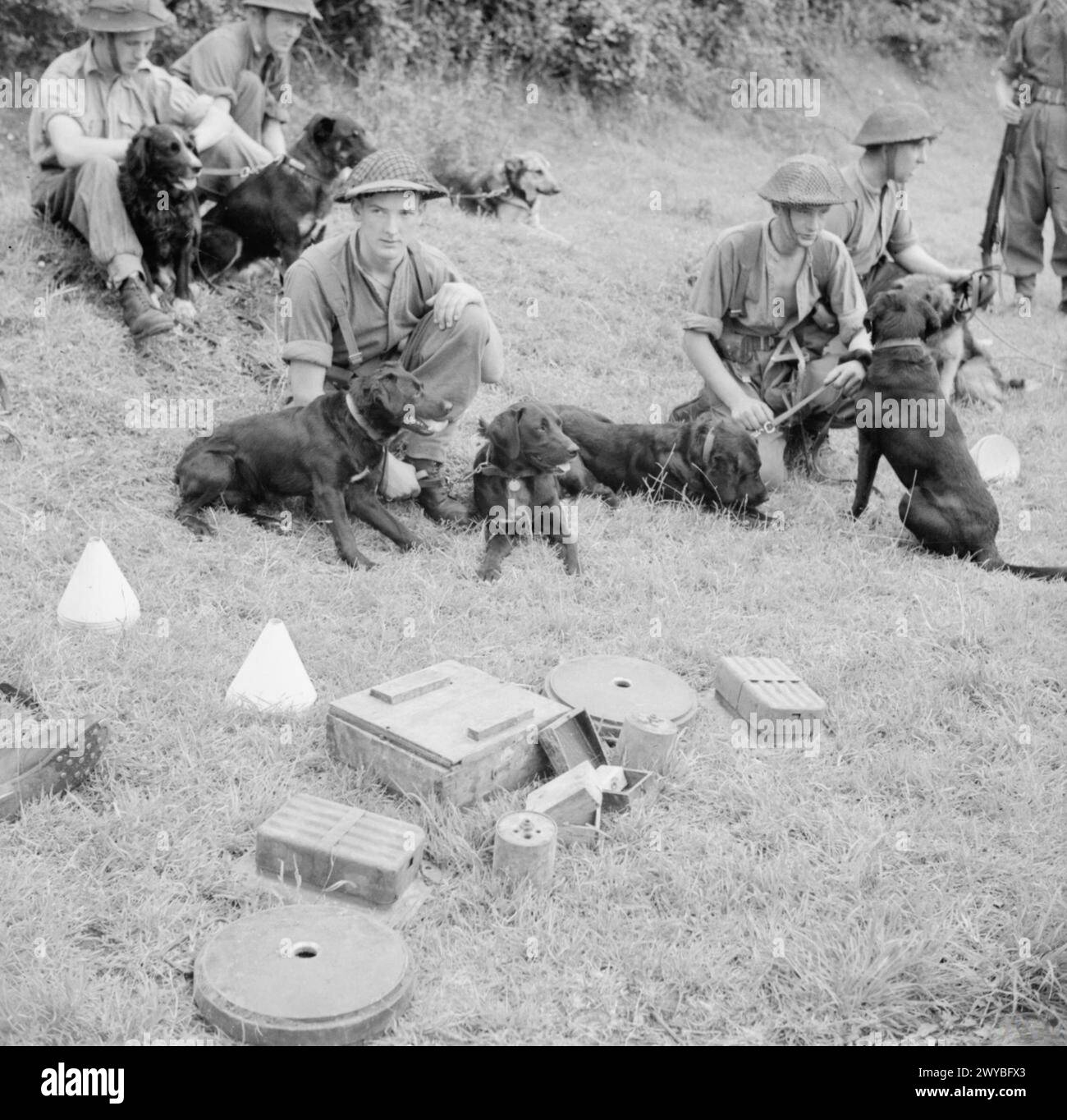 THE BRITISH ARMY IN THE NORMANDY CAMPAIGN, JUNE-AUGUST 1944 - Dogs and ...