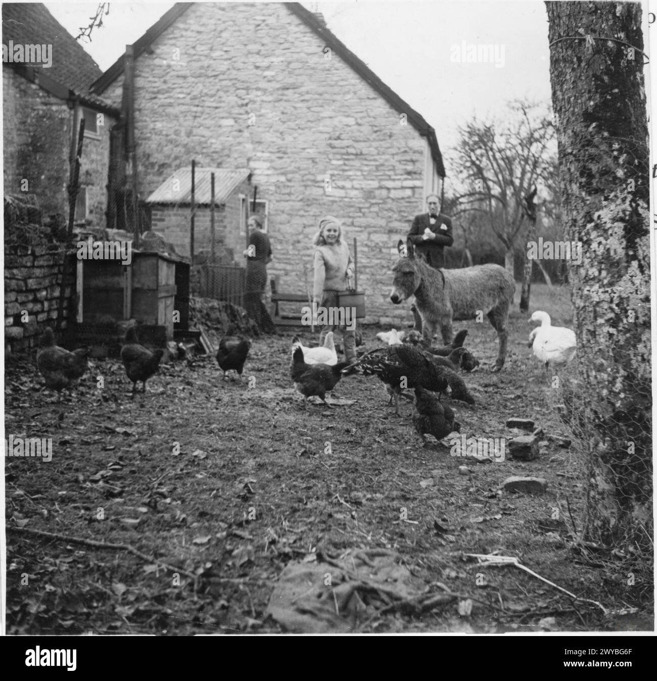 BELGIAN ARTIST: EVERYDAY LIFE FOR JOHN CLUYSENAAR AND HIS FAMILY