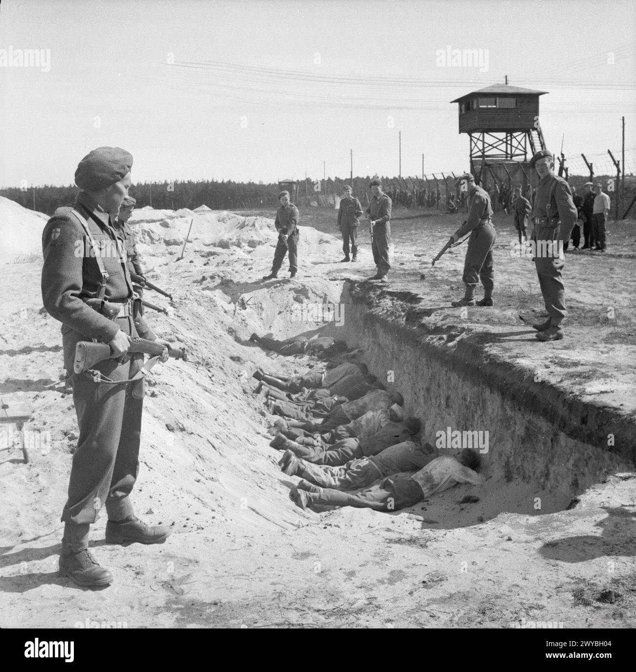 THE LIBERATION OF BERGEN-BELSEN CONCENTRATION CAMP, APRIL 1945 - German SS guards, exhausted from their forced labour clearing the bodies of the dead, are allowed a brief rest by British soldiers but are forced to take it by lying face down in one of the empty mass graves, 20 April 1945. , British Army Stock Photo