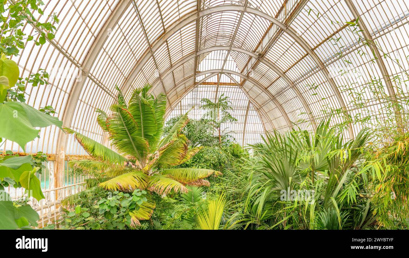 Kew, Richmond, Uk; April 04, 2024 - The Palm House is a large greenhouse in the Royal Botanic Gardens, Kew, in London. It was completed in 1848. Stock Photo